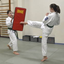 Training Jiu-Jitsu vechtsport club in Lier - Jeugd